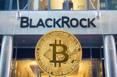 BlackRock's iShares Bitcoin Trust Dominates the Market