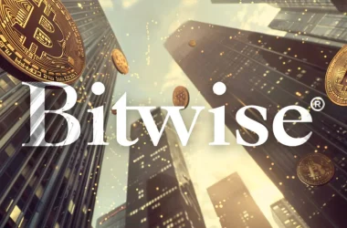 Bitwise CIO says market is ‘not bullish enough’ amid rising political endorsements