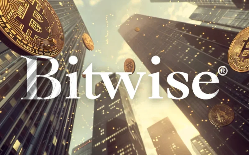 Bitwise CIO says market is ‘not bullish enough’ amid rising political endorsements