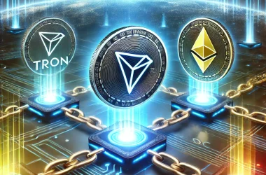 TRON DAO Unveils TRON-Peg USD Coin: A New Gateway to Borderless Transactions