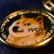 Dogecoin Price Just $0.24 Shy From An All-Time High, Analysts Predict DOGE Could Reach $2.80 In December